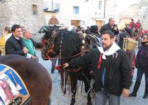 Bendición de los animales. Celebración de San Antonio Abad