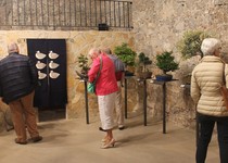 Peñíscola acoge este puente una exposición de bonsáis